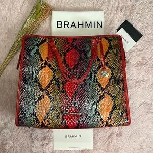 Brahmin Red Dragon Experium New
